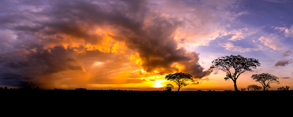 Chobe Hideaway Wildlife Corridor